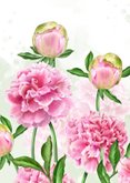 Felicitatiekaart huwelijk roze pioenrozen 2