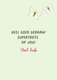 Felicitatiekaart met kwikstaart en vlinder 3