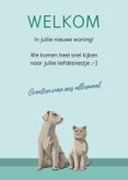 Felicitatiekaart met planten, beeldjes van hond en kat 3