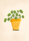 Felicitatiekaart nieuw stekkie met pannenkoekenplant 2