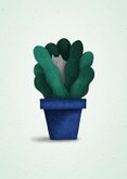 Felicitatiekaart 'nieuwe woning' met plant en kat 2