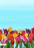 Felicitatiekaart voor huwelijksdag met tulpen en cijfer 2