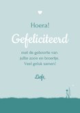 Felicitatiekaartje geboorte jongen met grote zus 3