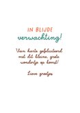 Felicitatiekaartje zwangerschap waslijn en ooievaar 3