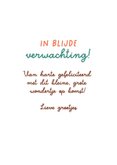 Felicitatiekaartje zwangerschap waslijn en ooievaar 3