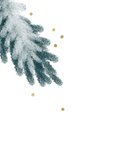 Foto kerstkaarten kerst takken blauw 2027 2