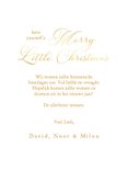 Fotokaartje kerst vintage merry little christmas goudfolie 3