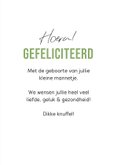 Geboorte felicitatie giraf ballonnen jungle dieren 3