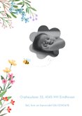 Geboorte meisje vrolijke bloemen met bij & lieveheersbeestje 2