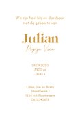 Geboortekaartje zus geeft broertje een kusje goudfolie  3