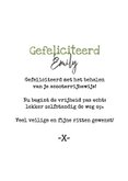 Geslaagd scooterrijbewijs bromfiets ballonnen you did it 3