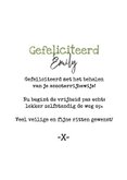 Geslaagd scooterrijbewijs bromfiets ballonnen you did it 3