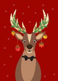 Grappig en lieve Rudolf wenst jullie een fijn en happy 2027 2