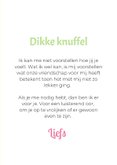 Grappige beterschapskaart van hondje bloemenmuts 3