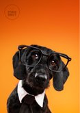 Grappige felicitatiekaart van hond met stropdas en bril 2