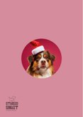 Grappige kerstkaart hond met kerstmuts 2