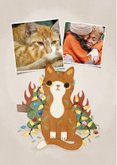 Grappige kerstkaart met kat kerstboom lampjes Meowy Catmas 2