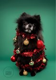 Grappige kerstkaart van hondje als kerstboom met ballen 2