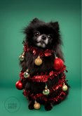 Grappige kerstkaart van hondje als kerstboom met ballen 2