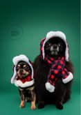 Grappige kerstkaart van hondjes met warme kerstkleding 2