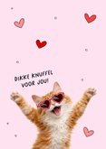 Grappige moederdagkaart met een vrolijke kat met hartjesbril 2