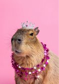 Grappige roze verjaardagskaartje met capibara met tiara 2