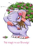 Grappige verjaardagskaart met olifant en bosje bloemen. 3