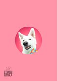 Grappige verjaardagskaart van herdershond met lolly 2