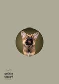 Grappige wenskaar van hond met tong, kus door de brievenbus 2