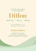Groen geboortekaartjes met libelle landschap goud  3