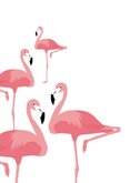 Happy birthday flamingo's 2