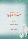 Happy Poodle Birthday! Verjaardagkaart met gekleurde poedels 3