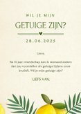 Hip en grappig kaartje om iemand als getuige te vragen  3