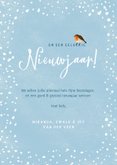 Kerskaart met illustratie van roodborstje in de winter 3