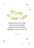 Kerstkaart humor foto kerstbomen bril sterren kat 3