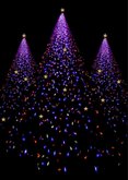 Kerstkaart kerstboom lichtjes en foto 2