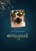 Kerstkaart met grote eigen foto van kat  2