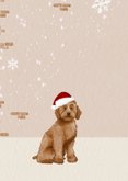 Kerstkaart met hondje en kerstkrans 2