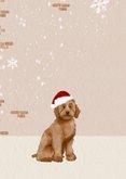 Kerstkaart met hondje en kerstkrans 2