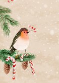 Kerstkaart met roodborst en zuurstokken 2