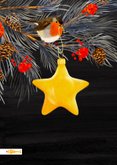 Kerstkaart met roodborstje en kerstster 2