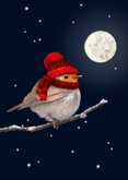 Kerstkaart roodborst rode muts 2