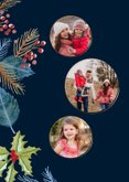 Kerstkaart roodborstjes bij volle maan 2