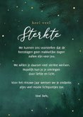  Kerstkaart sterkte lichtpuntje ster met roodborstje 3