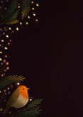 Kerstkaart twee roodborstjes met kerstlampjes 2