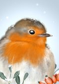 Kerstkaart winters roodborstje met kerstgroen 2
