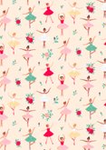 Kinderfeestje ballerina en bloemen Achterkant