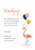 Kinderfeestje flamingo met ballonnen 3