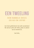 Kleurrijke felicitatiekaart tweeling 'a perfect pear' 3