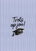 Leuke geslaagd fotokaart afstudeerhoedje streeppatroon goud 2